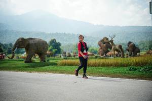 BIB: 
                            <button type="button" onclick="openModal(22436764)" class="btn btn-primary btn-sm float-right btn-popup" data-toggle="modal" data-target=".modal-high-quality">
                        <i class="fas fa-shopping-cart"></i> Add to Cart
                    </button>
                                            <button type="button" onclick="isThisMe(22436764, true)" class="btn btn-success btn-sm float-right btn-popup btn-isme hidden" data-toggle="tooltip" data-placement="bottom" title="นี่คือรูปของคุณใช่ไหม คลิกที่นี่เพื่อเอาเข้าอัลบั้ม">
                        <i class="fas fa-plus"></i> Add to album
                    </button>
                    <button type="button" onclick="isThisMe(22436764, false)" class="btn btn-warning btn-sm float-right btn-popup btn-isnotme hidden">
                        <i class="fas fa-ban"></i> Remove from album
                    </button>